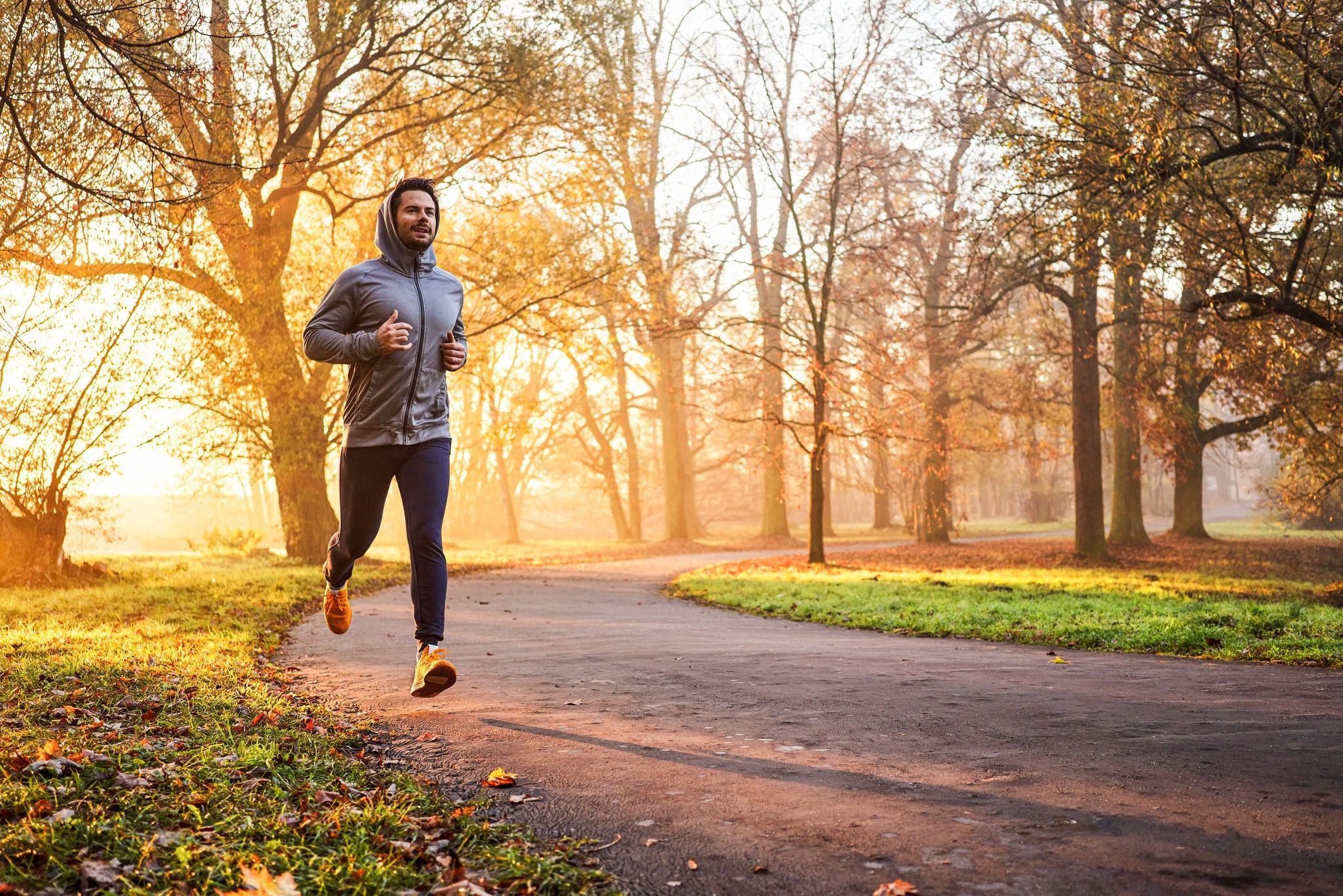 Adult male runner in park at autumn sunrise