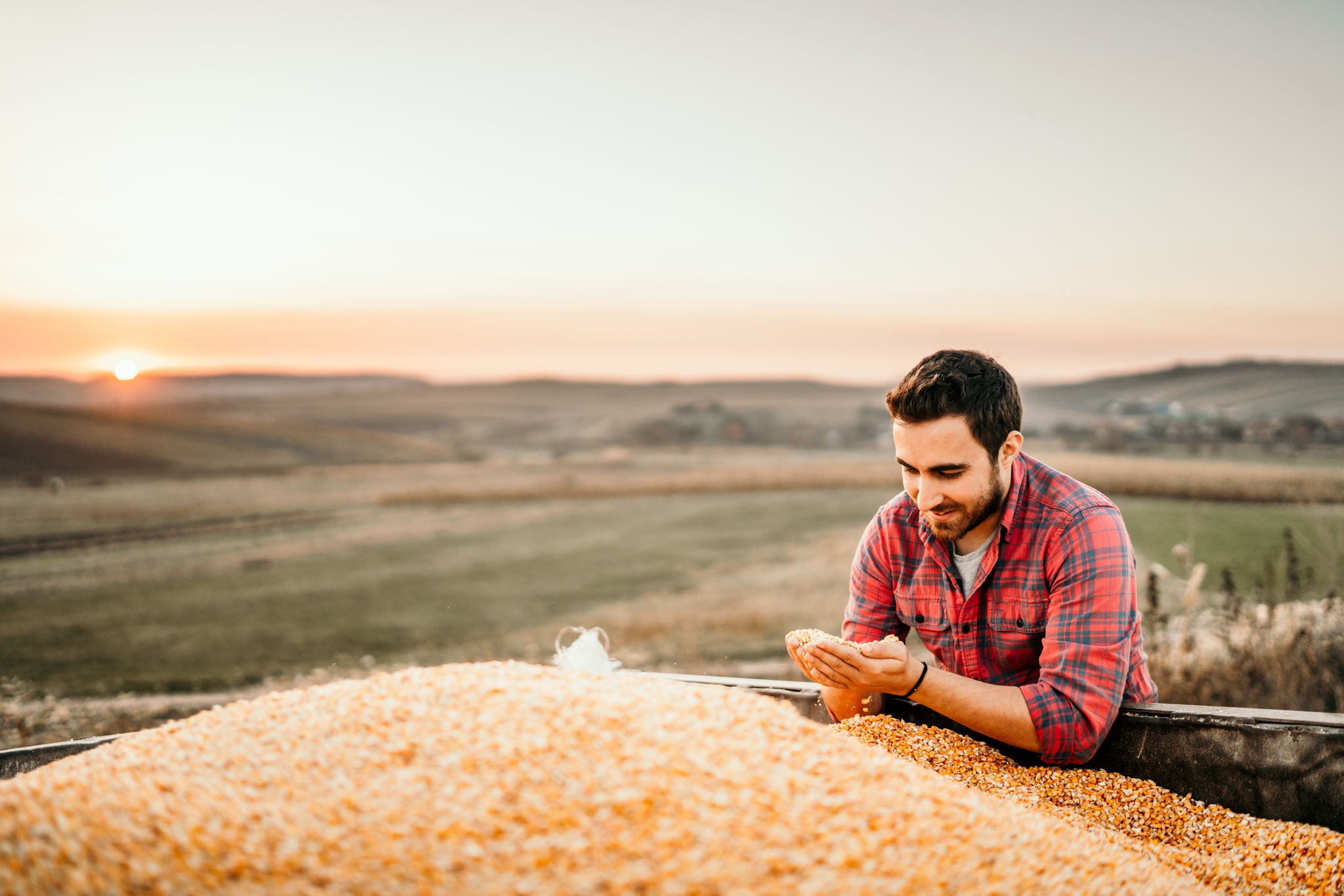 Portrait of harvester at sunset enjoying his harvest in tractor trailer