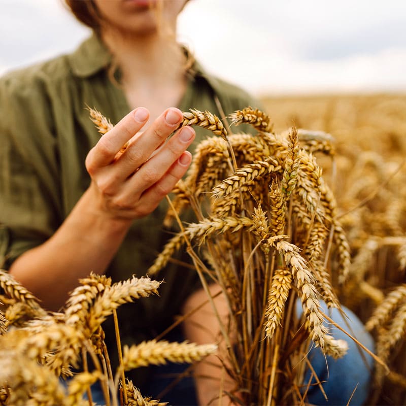 zeleni agro krediti