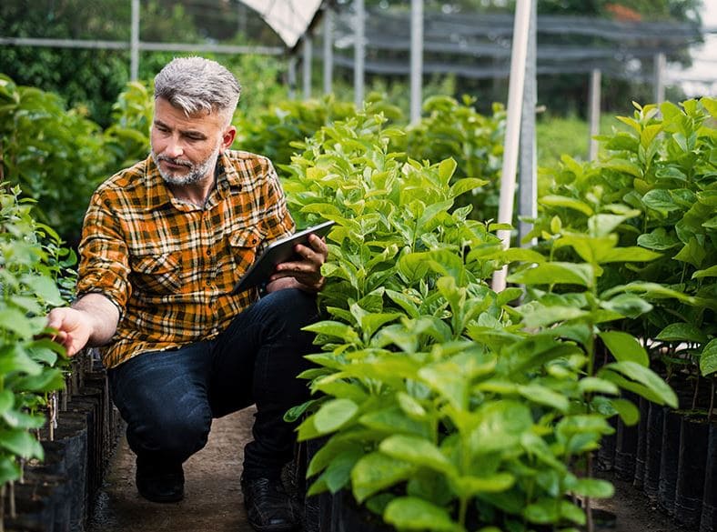 zeleni agro krediti