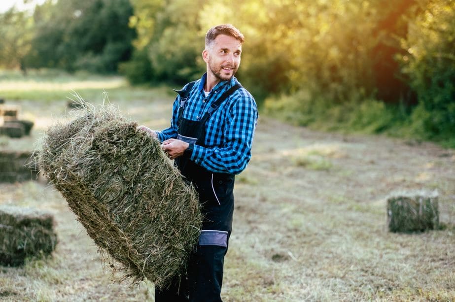 kredit za obrtna i trajna obrtna sredstva