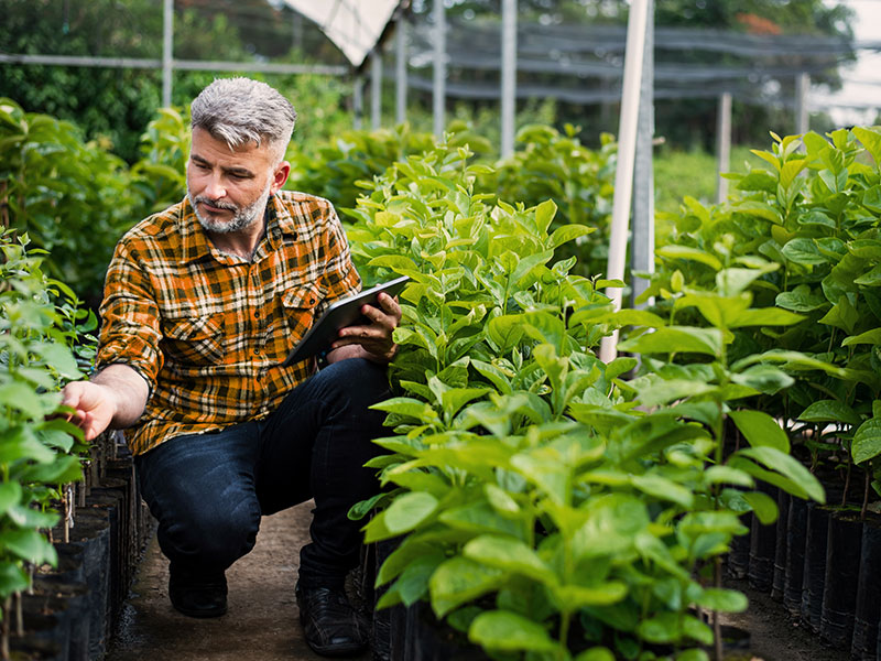 NLB Zeleni Agro krediti 